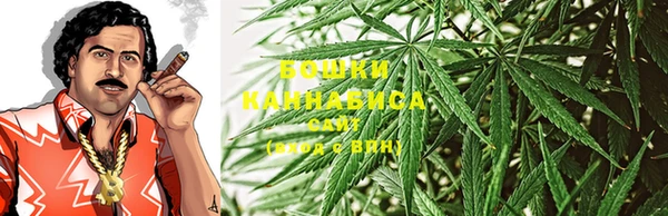 мдпв Вязники