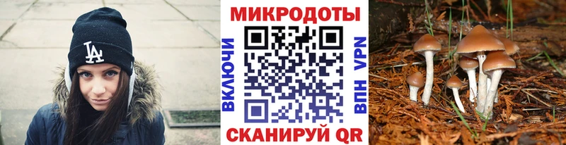 Псилоцибиновые грибы мицелий  Купить закладки  Кола 